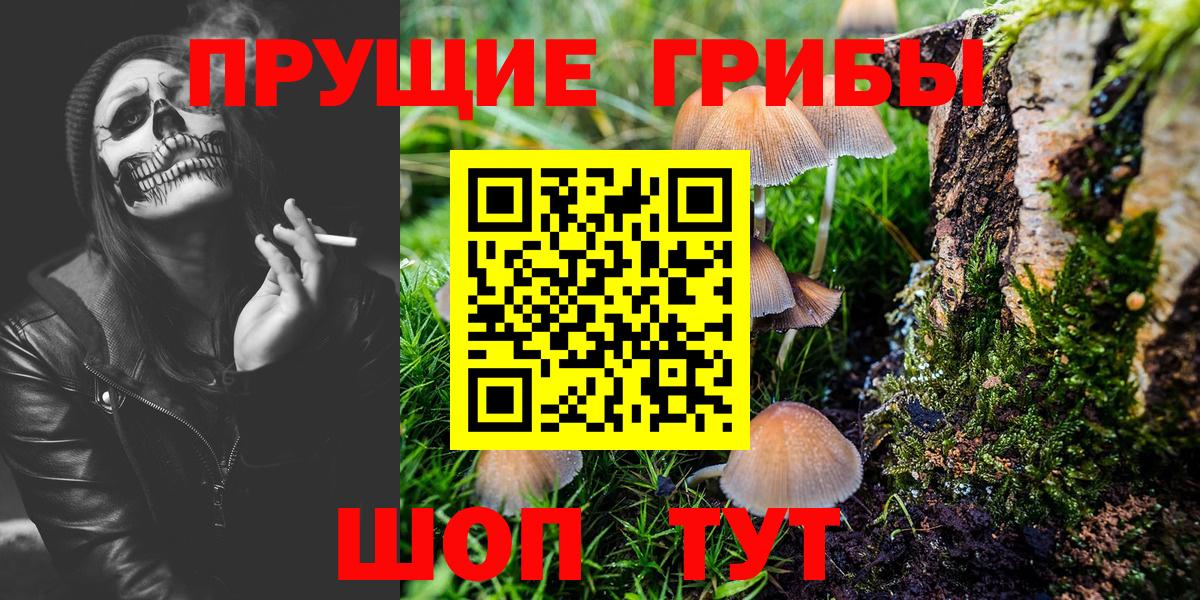 Псилоцибиновые грибы прущие грибы  Вход с VPN  Камышлов 
